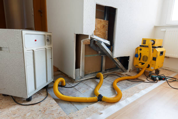 Best Environmental Consulting for Mold Prevention  in Willowick, OH